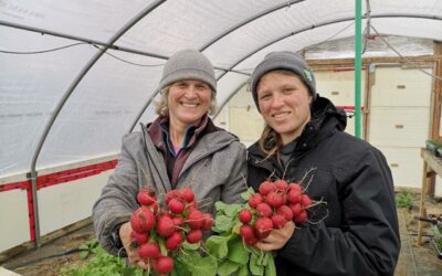 The Heart of Community Supported Agriculture at Green Hart Farms